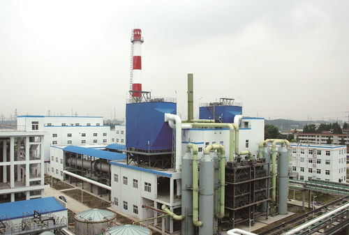 江蘇又殺出 90后女董事長 29歲當(dāng)上a股掌門人,年營收18.34億