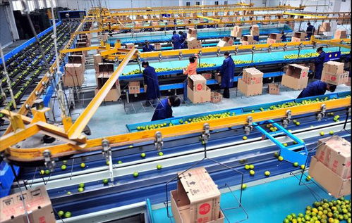 a股 外資重倉(cāng)高端制造業(yè),行業(yè)兩大 核心 賽道爆發(fā) 附股